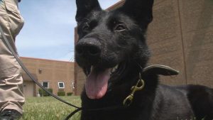 5ebdb7a64e8f4.image_