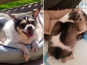 5ec16579f0f4190f5d20fe43