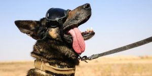 5ec5837bf34d0562b27ef677