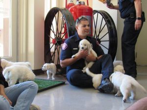 5ecdb636d2984.image_