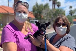 834beb80 5610 43b8 9c56 887a4364b973 Charcoal_Adoption_LAA_April_2020_cropped