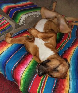 ColetteKase 768x908 1