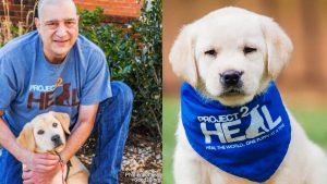 GUVRPTQIMVF4FKR4WBK6KPAVHI