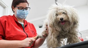 GettyImages 1212610109