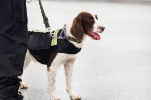 GettyImages 878360852