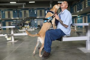 PawsforLife_1 a0e5596d