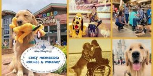 Rachel Mozart 1 800x400 1