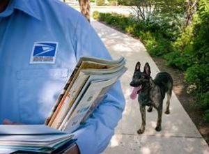 USPS dog bites