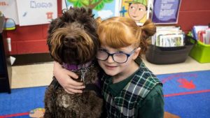 aH7yQ 1590451737 165320 blog hypatia h_50f49fbb8f644ea329e950eabe85bbd2 h_790dfcec093e8f9a394998229ddff581 300