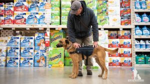 ae4acc8a 0dff 4c88 a2ee 1c8bbc0ffbc7 large16x9_Aries6369