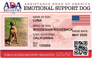 card 155956 987 1590719924