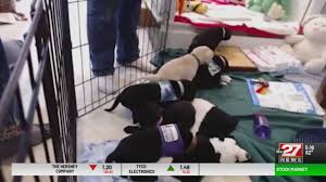 download 2020 05 07T160328.616