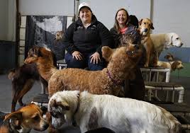 download 2020 05 13T103258.437