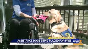 download 2020 05 13T152219.046