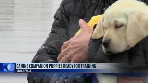 download 2020 05 14T093036.201