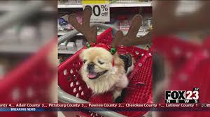 download 2020 05 14T093941.447