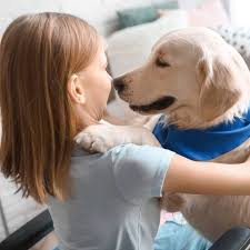 download 2020 05 14T154643.959