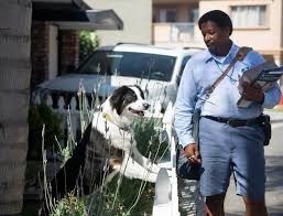 download 2020 05 15T133318.001