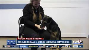 download 2020 05 22T151638.062