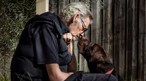 download 2020 05 27T130912.619