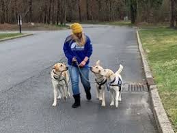 download 2020 05 27T142717.666