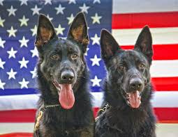 download 2020 05 29T115818.527