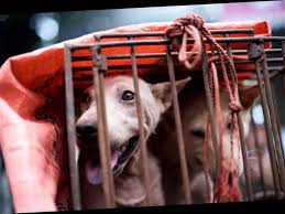 download 2020 05 29T141342.287