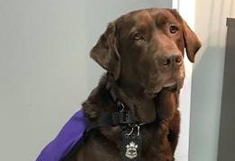 image007 e1589228196617