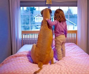 img 0307___29175100311