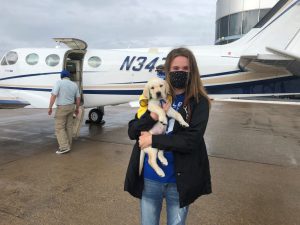 puppy Waylon and Leah