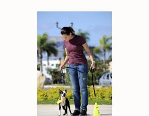 09c4a10a7fd9028d69389d5b312db143