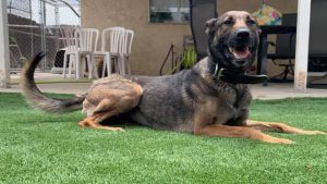 103770802_3571987609497738_8572812041971127633_n