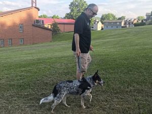 2721200_web1_gtr CovidDog 061120