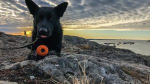 5A5DB78C 515F 474B 8DD7 865A83D2BE14 750x420 1