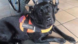 5b6e7dbe babd 42e5 95e4 1657f8c8514e_750x422