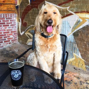 5ed0035379f16.image_