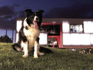 5ed016987baff.image_