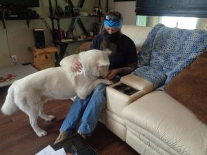 5ed04e4fb7f35.image 1