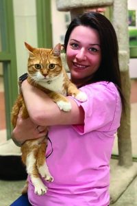 5eda6c11af954.image_