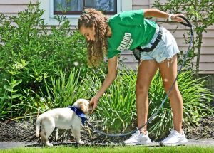 5ee2c6e0d4395.image_