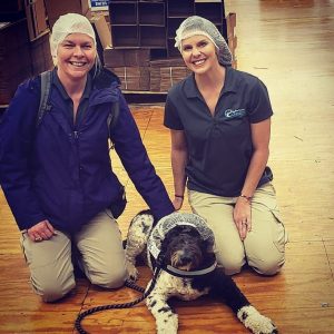 5ef10b2f9dd7e.image 1