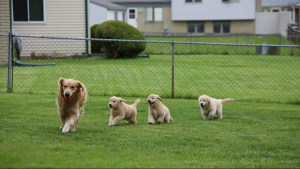 7f7cdae4 9cb0 46e8 b840 68ba696bf919_1140x641