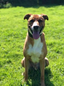 89088846_89088835_Jeff in 