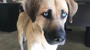 9b7bf293 1a04 46bd bee1 4fbb56eb4295 large16x9_PIC5