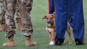 9ec7284f 06d0 4791 bf1a fcf21021b180 large16x9_GettyImages11600051751 1