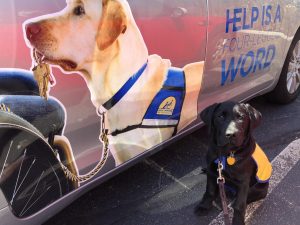 EP 200518815 1 scaled 1