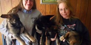 JQ7IOFLOUBAUPD2YM46EDOUVPM