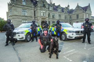 POLICE DOGS 9849 768x512 1