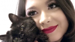 ScreenShot2020 06 07at10.14.49PMCropped