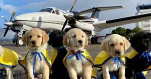 download 2020 06 03T140502.688